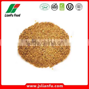 Dried Mustard Yellow Seeds thumbnail-1