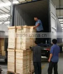 Wuhan Yimin Bee Product Co., Ltd. company overview - view 1 thumbnail