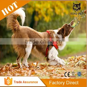 Rope Tug Toy Dog Chew Toy thumbnail-4