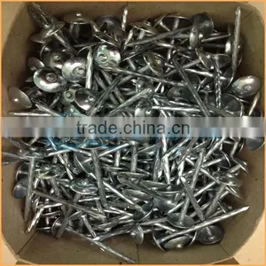 Top Quality Umbrella Head Thread Roofing Nail Trusted Chuanghe Suppliers From Com thumbnail-3