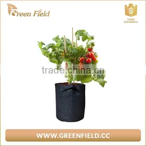 Greenhouse Plant Grow Bags for Plant Nursery thumbnail-1