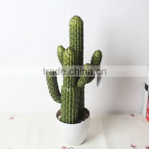 SJ1801212 Artificial Small Succulent Bonsai Plant/mini Cheap Plastic Plant thumbnail-6