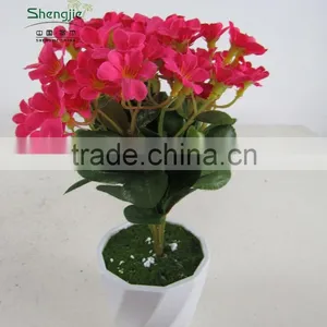 Wholesale Mini Artificial Bonsai Flower,l Flower Bonsai Plants thumbnail-4