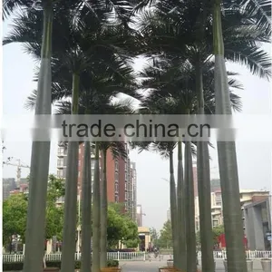 2017 Best Price Artificial Outdoor Palm Tree Plastic Palm Tree thumbnail-4