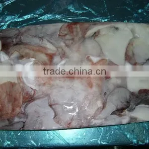 Frozen Giant Squid Raw Necks thumbnail-1