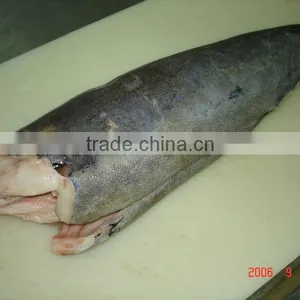 Oilfish DWT thumbnail-1