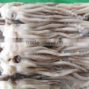 Squid Head With Frozen thumbnail-2