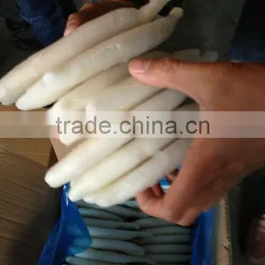 IQF/BQF Frozen Squid Tube thumbnail-4