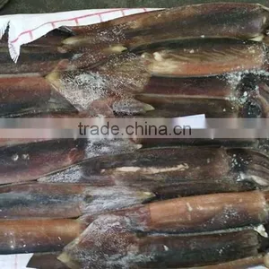 Frozen Illex Squid Producer In Argentina thumbnail-1