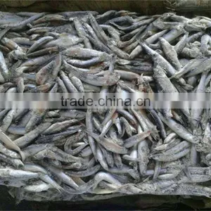 New Season Fresh Frozen Whole Round Anchovy thumbnail-4