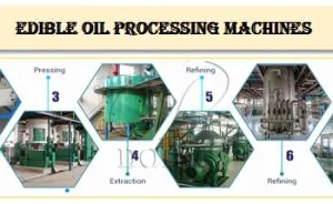 SGS Certificate Peanut Oil Processing Plant, Groundnut Oil Production Line With Engineer Installation Guide thumbnail-3