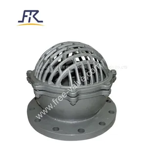 Stainless Steel Water Pump Pn10 Foot Valve thumbnail-2
