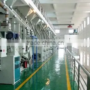 China Widely Used 6FSMCT Series of Millet and Sorghum Processing Line thumbnail-2