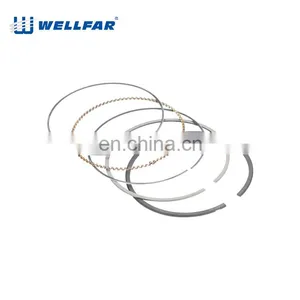 Wellfar OPEL Corsa 1.6L 8V 81mm Piston Rings For OPEL Corsa Engine thumbnail-5