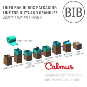 Carton Liner Bag in Box Line for Packaging Nuts and Granules thumbnail-2