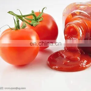 Concentrated Tomato Paste Making Machine/Tomato Paste Production Line thumbnail-1