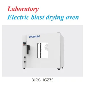 Laboratory Electric Blast Drying Oven thumbnail-4