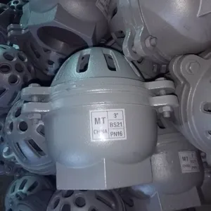 BS Flange Cast Iron Suction Valve Thickened H42X-10/16 Lifting Pump Water Flower Basket Head Foot Valve thumbnail-2