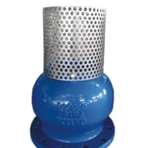 ANSI Certified Vertical Foot Valve Cast Iron/Stainless/Plastic Optional Bottom Valve One Way Check Valve Custom ODM Available thumbnail-5