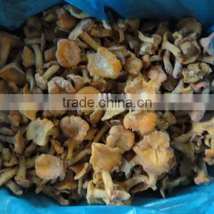 Frozen Style Chinese Chantarelle Mushroom thumbnail-3