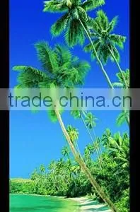 100% Cotton Reactive Beach Towel Wholesale thumbnail-1