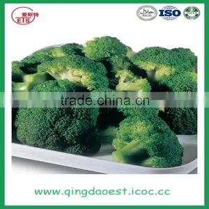 High Quality Chinese Fresh Broccoli thumbnail-2