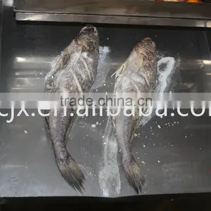Vacuum Freeze Dryer for Food thumbnail-5