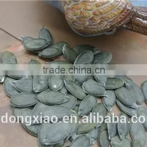 GWS Pumpkin Kernels Raw Cashew Nut Wholesale thumbnail-3
