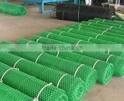 BOP UV Stabilised Chicken Net for Agriculture /plastic Poultry Net thumbnail-5