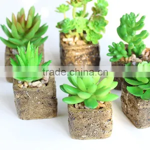 China Factory Direct Artificial Bonsai Succulents Plant Potted Palnt for Table Decortaion Home Decoration thumbnail-2