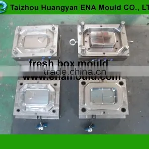 Thin Wall Mould of Plastic Rectangle Box thumbnail-1