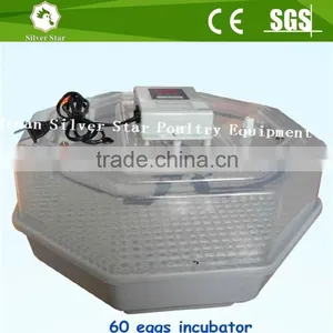 Automatic Commercial Mini Chicken Egg Incubator/Cheap Price Egg Incubator for Sale thumbnail-5