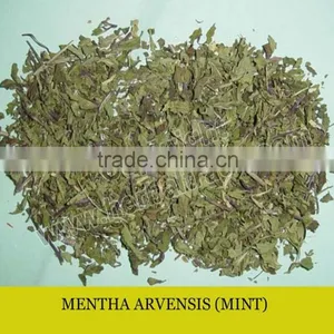 MINT thumbnail-1