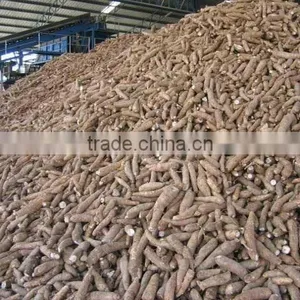 TAPIOCA STARCH/ CHIPS (export.vilaconic(at)gmail.com thumbnail-1