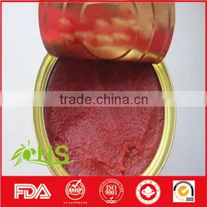 Tomato Paste in Cans and Drum thumbnail-4
