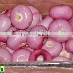 New Crop 2015 Fresh Onion thumbnail-1