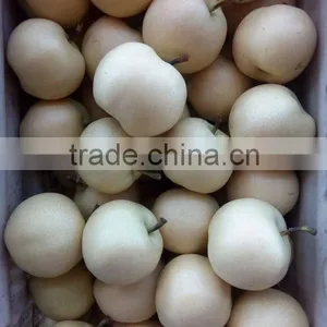 China Seasonal Fruit Asian Pear thumbnail-1