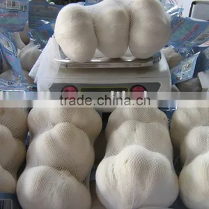 Chinese Fresh Garlic thumbnail-1