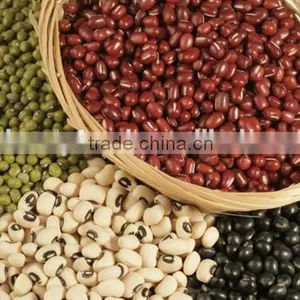 The Largest Supplier of Red Kidney Beans in China thumbnail-2