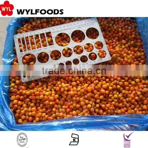 IQF China Price for Frozen Sea Buckthorn High Quality thumbnail-1