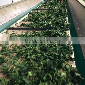 Best Selling Products Spinach Best Selling Products in America thumbnail-6