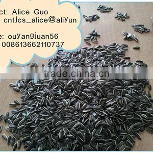 Different Types of Sunflower Seeds thumbnail-1