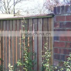 Fence Wall Spikes Anti Bird Pigeon Contorl Spike thumbnail-2