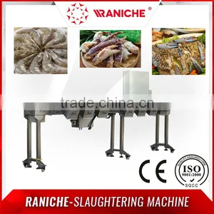 Over 20 Years Manufacturer and Focusing on Drumstick and Frozen Shrimp Automatic Weight Grader thumbnail-1