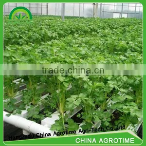 Hot Sale Greenhouse Hydroponics System Table thumbnail-2