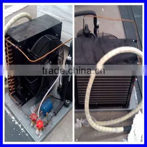 Lowest Price Barley Bean Sprout Machine Price With Best Service thumbnail-5