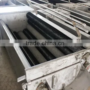 Newest Professional Hot Sale Brush Roller Type Commercial Potato Washing and Peeling Machine thumbnail-1