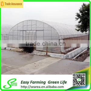 Used Galanized Steel Pipe Greenhouse for Sale thumbnail-2