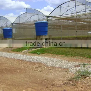 Baolida Cheap Vegetables Tunnel Greenhouse thumbnail-1