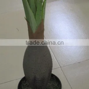 SJA07 Artificial Green Mini Palm Bonsai Plants for Sale thumbnail-4